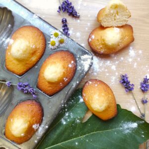 Madeleines